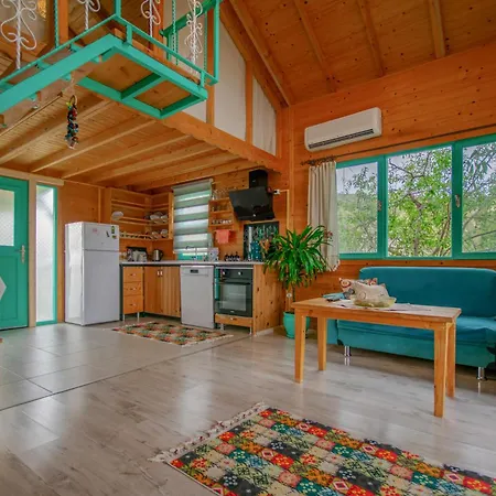 Rengin Holiday home Datca